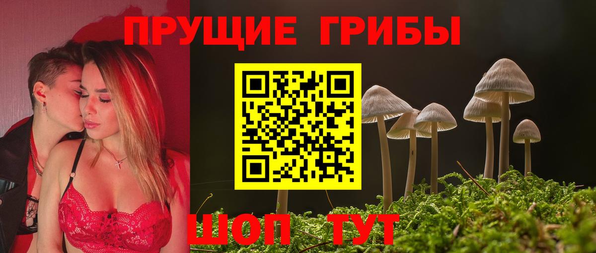 Галлюциногенные грибы MAGIC MUSHROOMS  хочу   Вход с VPN  Нефтекумск  Галлюциногенные грибы MAGIC MUSHROOMS 